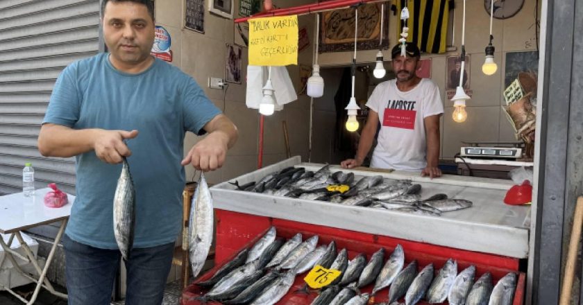 Zonguldak'ta tuzlu su av sezonu bol palamutla başladı