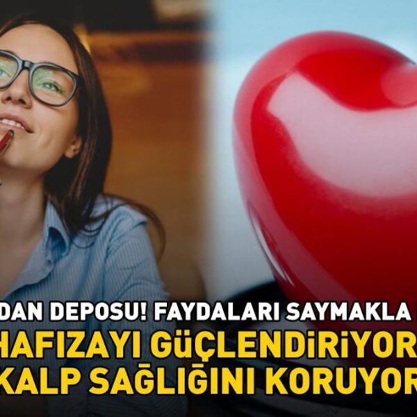 Antioksidan deposu! İçinde yok yok: Omega-3 yağ asitleri, E, C ve K vitaminleri! Hafızayı güçlendiriyor, kalp sağlığını koruyor