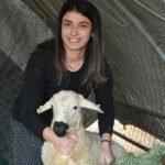 Devlet desteğiyle besiciliğe başladı, 250 hayvana ulaştı