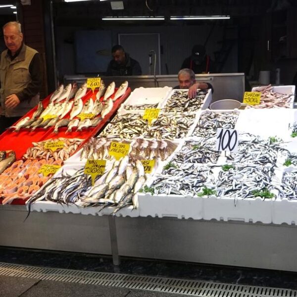 Bol ürün, bereket arttı; fiyatlar düştü!